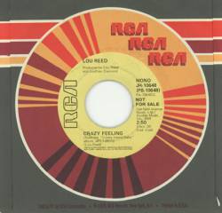 Lou Reed : Crazy Feeling